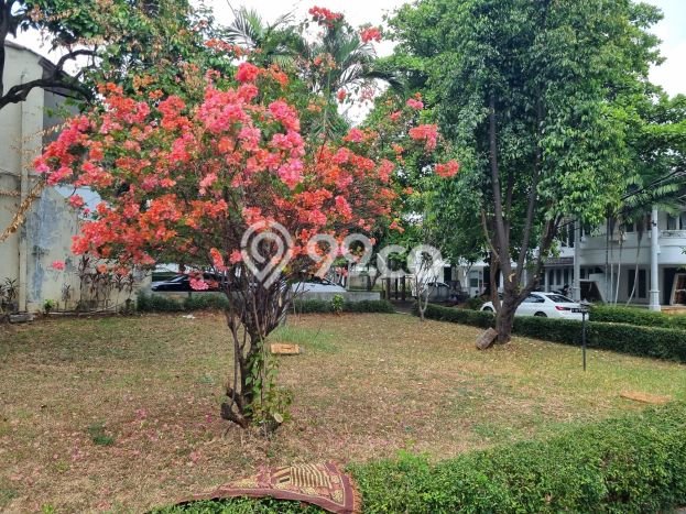 Jarang Ada! Rumah Kontrakan 5 Kamar Bagus Siap Huni Pejaten Jarang Ada! Rumah Kontrakan 5 Kamar Bagus Siap Huni Pejaten