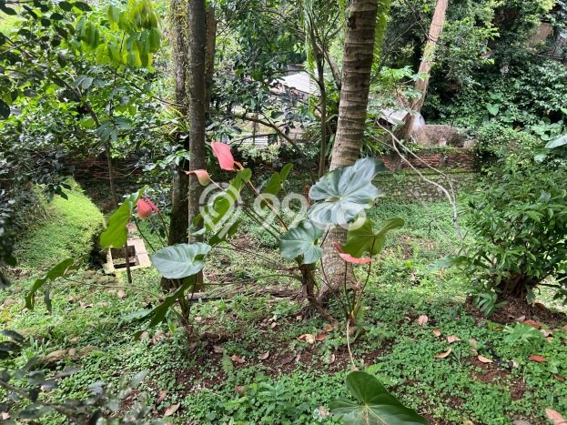 Rumah Elit Modern Siap Huni di Katulampa Bogor Rumah Elit Modern Siap Huni di Katulampa Bogor