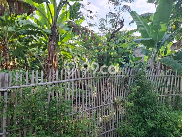 Gudang Komersial Dijual di Tambun Utara Bekasi LT 2700m2 & LB 1000m2 Gudang Komersial Dijual di Tambun Utara Bekasi LT 2700m2 & LB 1000m2