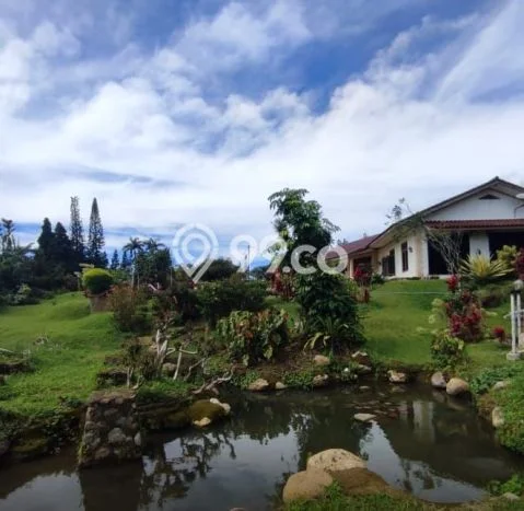 BEST CHOICE! Rumah area Cipanas, Luas 5000m² Bangunan 500m² BEST CHOICE! Rumah area Cipanas, Luas 5000m² Bangunan 500m²