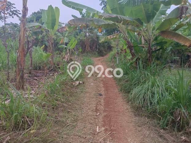 Tanah Dijual Lokasi Cilodong, Depok dengan Luas Tanah 6340m2 dan Status SHM Tanah Dijual Lokasi Cilodong, Depok dengan Luas Tanah 6340m2 dan Status SHM