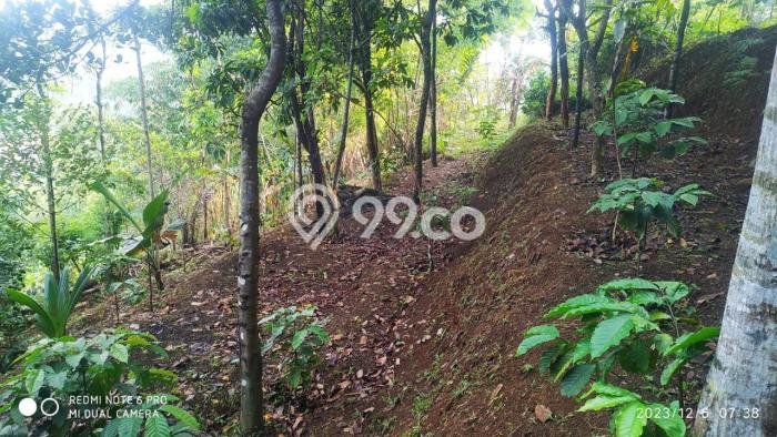 Tanah untuk Dijual di Cisarua Bogor Luas 6000m2 Tanah untuk Dijual di Cisarua Bogor Luas 6000m2