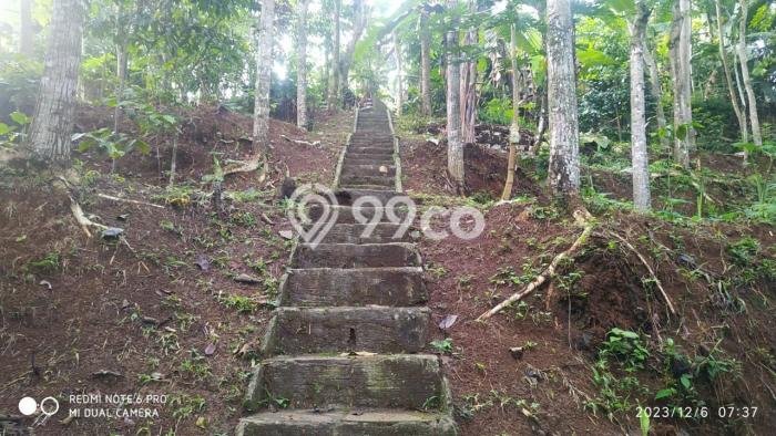 Tanah untuk Dijual di Cisarua Bogor Luas 6000m2 Tanah untuk Dijual di Cisarua Bogor Luas 6000m2