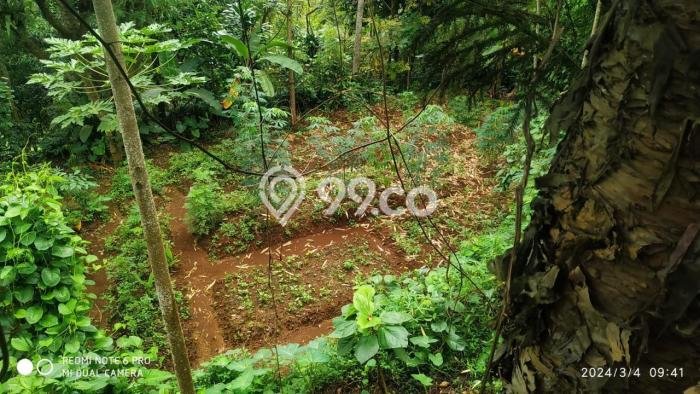 Tanah untuk Dijual di Cisarua Bogor Luas 6000m2 Tanah untuk Dijual di Cisarua Bogor Luas 6000m2