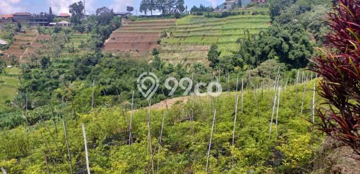 Tanah Kavling di Baturiti Dijual dengan Luas 30300m2 Tanah Kavling di Baturiti Dijual dengan Luas 30300m2
