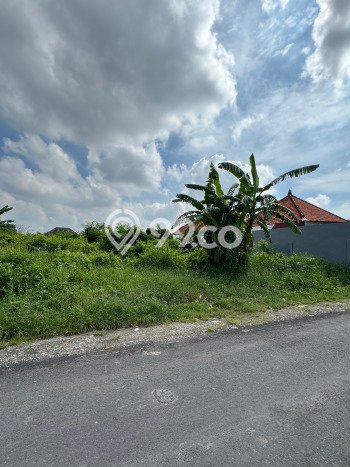 Tanah Kavling Dijual di Badung dengan Spesifikasi 1000m2 Tanah Kavling Dijual di Badung dengan Spesifikasi 1000m2
