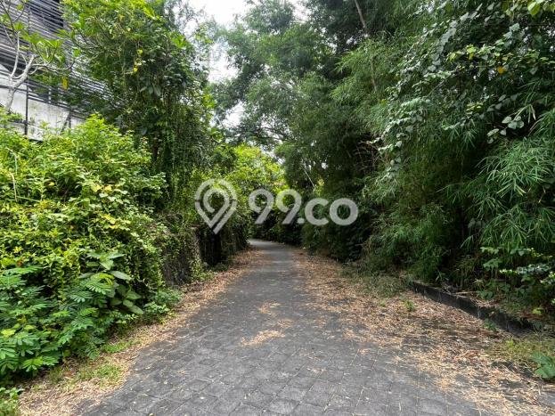 Tanah Investasi Dijual di Badung Punya Luas 756m2 Tanah Investasi Dijual di Badung Punya Luas 756m2