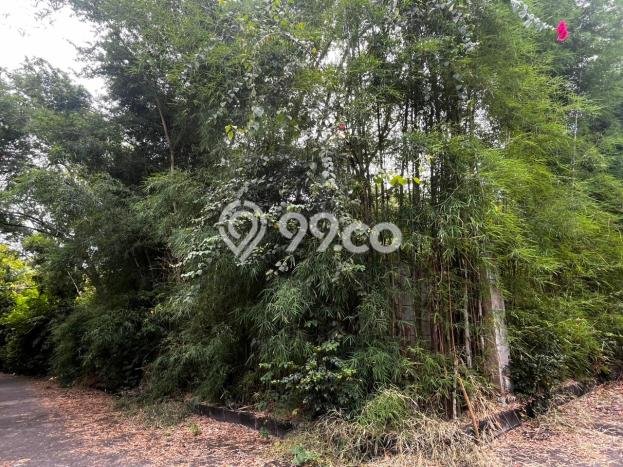 Tanah Investasi Dijual di Badung Punya Luas 756m2 Tanah Investasi Dijual di Badung Punya Luas 756m2