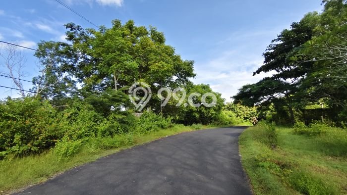 Dijual Tanah Area Prospektif di , Luas 249m2m², Dekat Badung, Badung Dijual Tanah Area Prospektif di , Luas 249m2m², Dekat Badung, Badung