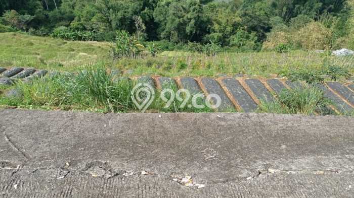 Tanah Kavling di Baturiti Dijual dengan Luas 30300m2 Tanah Kavling di Baturiti Dijual dengan Luas 30300m2