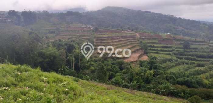 Tanah Kavling di Baturiti Dijual dengan Luas 30300m2 Tanah Kavling di Baturiti Dijual dengan Luas 30300m2
