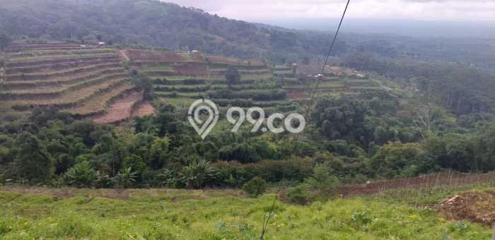 Tanah Kavling di Baturiti Dijual dengan Luas 30300m2 Tanah Kavling di Baturiti Dijual dengan Luas 30300m2