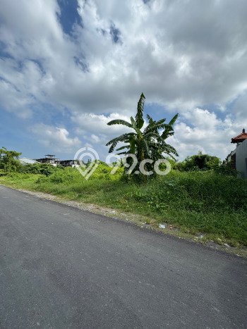 Tanah Kavling Dijual di Badung dengan Spesifikasi 1000m2 Tanah Kavling Dijual di Badung dengan Spesifikasi 1000m2