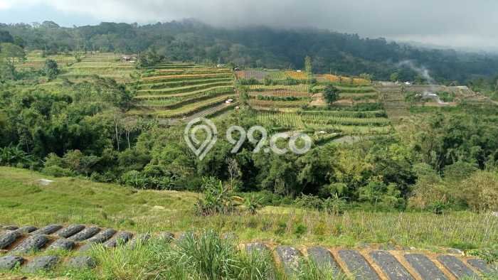 Tanah Kavling di Baturiti Dijual dengan Luas 30300m2 Tanah Kavling di Baturiti Dijual dengan Luas 30300m2