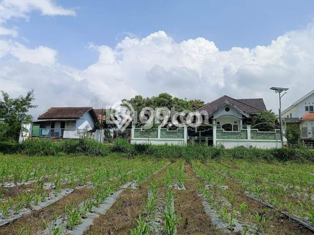 Rumah Luxury Modern Siap Huni di Merjosari Malang Rumah Luxury Modern Siap Huni di Merjosari Malang