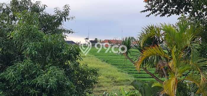Tanah Dijual Lokasi Kintamani Bangli SHM Tanah Dijual Lokasi Kintamani Bangli SHM
