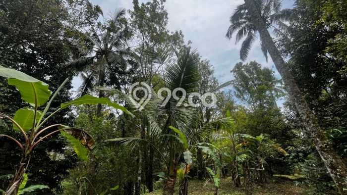 Tanah Kavling di Tabanan Dijual dengan Luas 20000m2 Tanah Kavling di Tabanan Dijual dengan Luas 20000m2