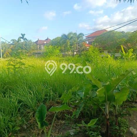 Tanah Strategis Disewakan di Ubud Gianyar Seluas 4893m2 Tanah Strategis Disewakan di Ubud Gianyar Seluas 4893m2