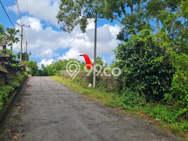 Tanah Kavling Dijual di Badung dengan Spesifikasi 1000m2 Tanah Kavling Dijual di Badung dengan Spesifikasi 1000m2