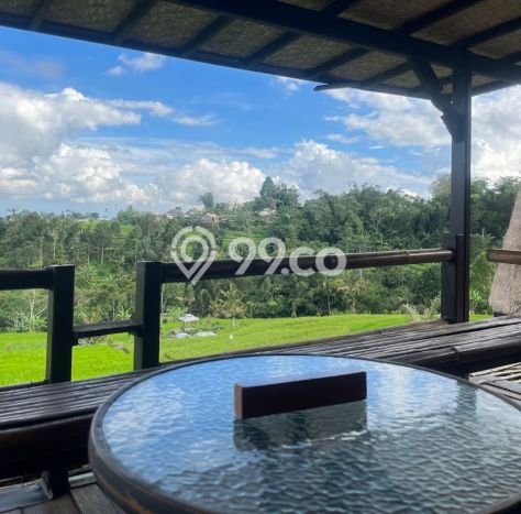 AREA SUPER PREMIUM! Hotel Kawasan Tabanan, Luas 4200m2m², Kawasan Bisnis AREA SUPER PREMIUM! Hotel Kawasan Tabanan, Luas 4200m2m², Kawasan Bisnis