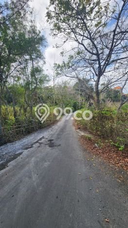 Lahan Dijual Lokasi Strategis di Badung dengan Luas 16440m2 Lahan Dijual Lokasi Strategis di Badung dengan Luas 16440m2