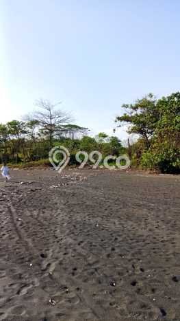 Lahan untuk Dijual Lokasi Klungkung, Nusa Lembongan Luas 120000m2 SHM Lahan untuk Dijual Lokasi Klungkung, Nusa Lembongan Luas 120000m2 SHM