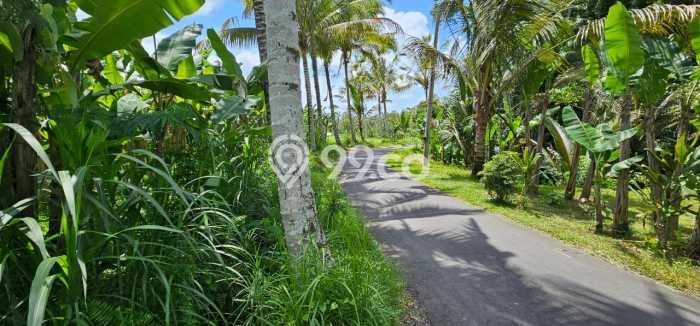 Kavling Tanah Dijual di Gianyar, Gianyar, Luas 3360m2 Area Strategis Kavling Tanah Dijual di Gianyar, Gianyar, Luas 3360m2 Area Strategis