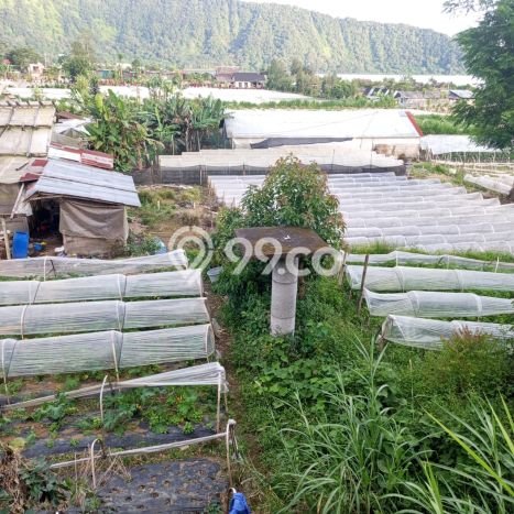 Tanah Disewakan Lokasi Tabanan Seluas 5000m2 Strategis dan Aman Tanah Disewakan Lokasi Tabanan Seluas 5000m2 Strategis dan Aman