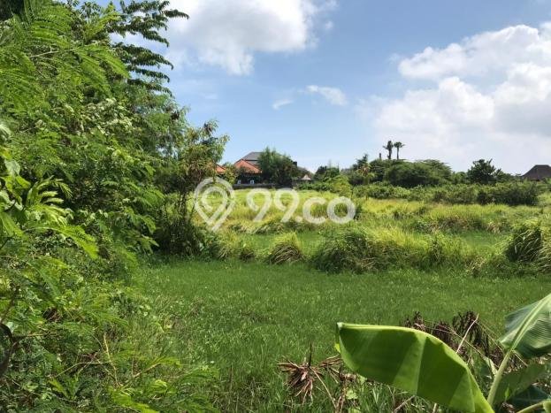 Dijual Tanah Lokasi Kerobokan, Badung Seluas 2100m2 Dijual Tanah Lokasi Kerobokan, Badung Seluas 2100m2