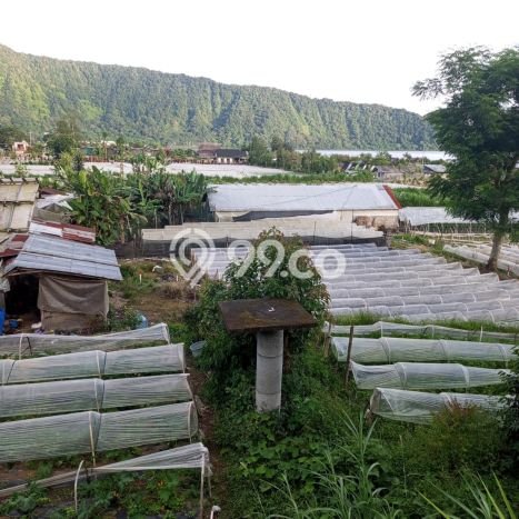 Tanah Disewakan Lokasi Tabanan Seluas 5000m2 Strategis dan Aman Tanah Disewakan Lokasi Tabanan Seluas 5000m2 Strategis dan Aman