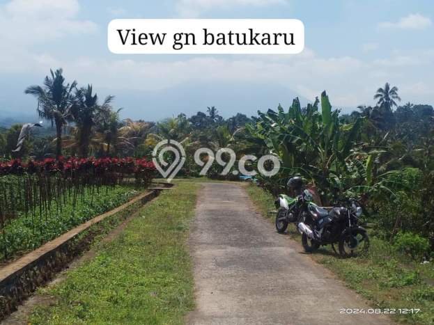 Tanah Strategis Dijual di Tabanan Tabanan 4350m2 Tanah Strategis Dijual di Tabanan Tabanan 4350m2