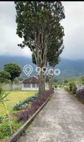 Lahan Kosong Dijual di Tabanan, Tabanan, Luas 5000m2 Area Strategis Lahan Kosong Dijual di Tabanan, Tabanan, Luas 5000m2 Area Strategis