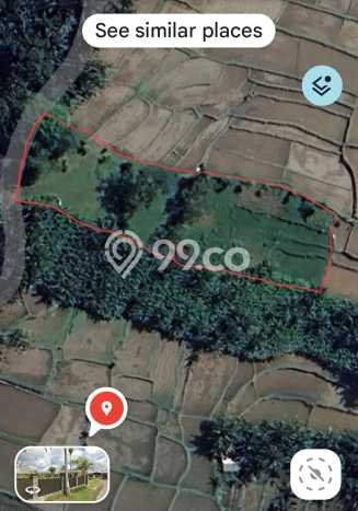Kavling Tanah Dijual di Gianyar, Gianyar, Luas 3360m2 Area Strategis Kavling Tanah Dijual di Gianyar, Gianyar, Luas 3360m2 Area Strategis