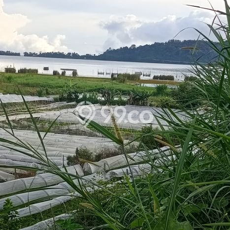 Tanah Disewakan Lokasi Tabanan Seluas 5000m2 Strategis dan Aman Tanah Disewakan Lokasi Tabanan Seluas 5000m2 Strategis dan Aman