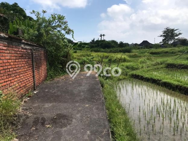 Tanah di Kerobokan, Badung Luas 2100m2 Dijual Segera Tanah di Kerobokan, Badung Luas 2100m2 Dijual Segera