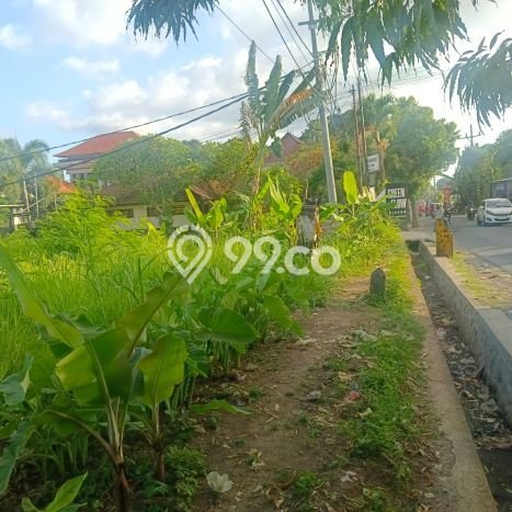 Tanah Strategis Disewakan di Ubud Gianyar Seluas 4893m2 Tanah Strategis Disewakan di Ubud Gianyar Seluas 4893m2