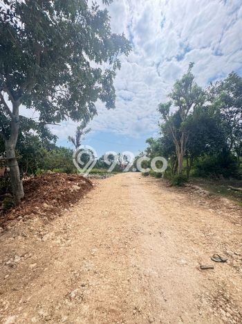 Tanah Area Berkembang di , Luas 3000m2m², Dekat ke Pusat Kota, Lingkungan Nyaman Tanah Area Berkembang di , Luas 3000m2m², Dekat ke Pusat Kota, Lingkungan Nyaman