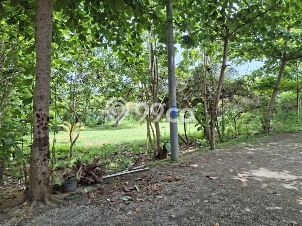 Dijual Tanah Lokasi Nusa Dua, Badung Seluas 2000m2 Dijual Tanah Lokasi Nusa Dua, Badung Seluas 2000m2