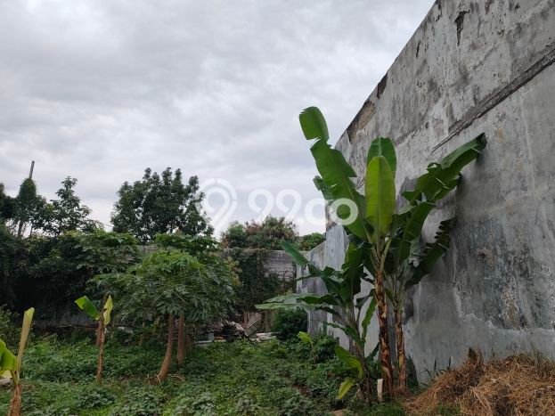 Tanah Kavling di Pasteur Dijual dengan Luas 365m2 Tanah Kavling di Pasteur Dijual dengan Luas 365m2