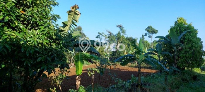 Kavling Tanah Dijual di Bogor Barat, Bogor, Luas 2800m2 Area Strategis Kavling Tanah Dijual di Bogor Barat, Bogor, Luas 2800m2 Area Strategis