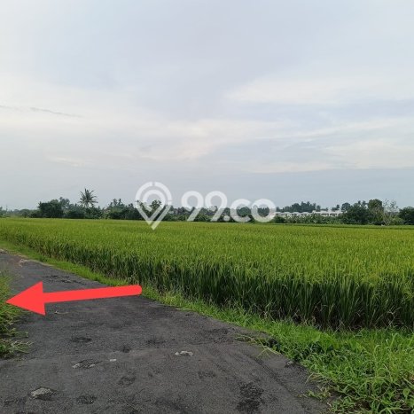 Tanah Investasi Dijual di Tabanan Punya Luas 250m2 Tanah Investasi Dijual di Tabanan Punya Luas 250m2