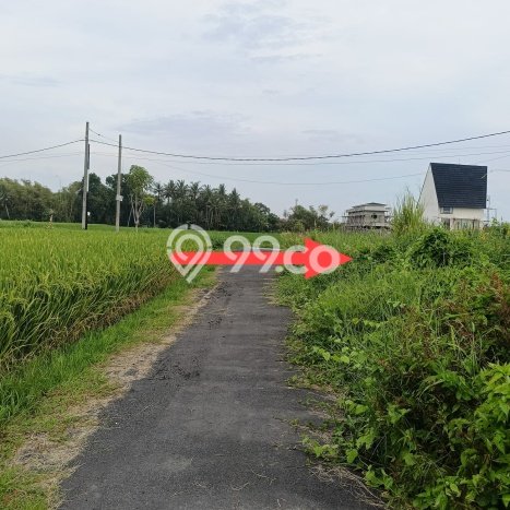 Tanah Investasi Dijual di Tabanan Punya Luas 250m2 Tanah Investasi Dijual di Tabanan Punya Luas 250m2