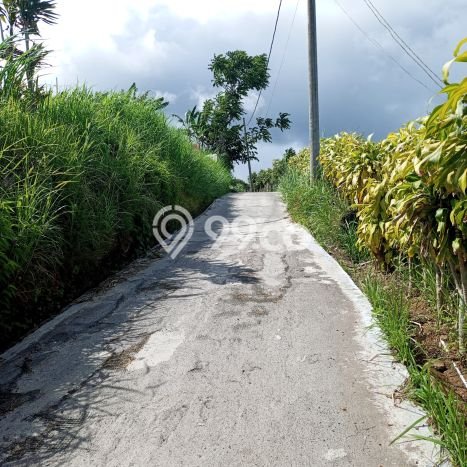 Kavling Tanah untuk Dijual di Bedugul, Tabanan, Luas 13000m2 Kavling Tanah untuk Dijual di Bedugul, Tabanan, Luas 13000m2
