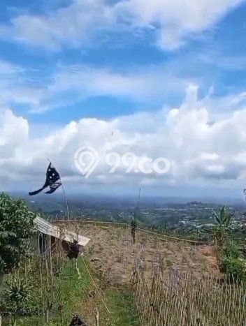 Kavling Tanah untuk Dijual di Bedugul, Tabanan, Luas 13000m2 Kavling Tanah untuk Dijual di Bedugul, Tabanan, Luas 13000m2