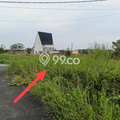 Tanah Investasi Dijual di Tabanan Punya Luas 250m2 Tanah Investasi Dijual di Tabanan Punya Luas 250m2