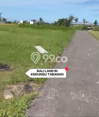 Tanah Investasi Dijual di Tabanan Punya Luas 250m2 Tanah Investasi Dijual di Tabanan Punya Luas 250m2
