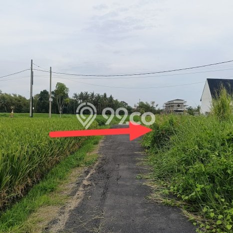 Tanah Investasi Dijual di Tabanan Punya Luas 250m2 Tanah Investasi Dijual di Tabanan Punya Luas 250m2