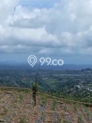 Kavling Tanah untuk Dijual di Bedugul, Tabanan, Luas 13000m2 Kavling Tanah untuk Dijual di Bedugul, Tabanan, Luas 13000m2