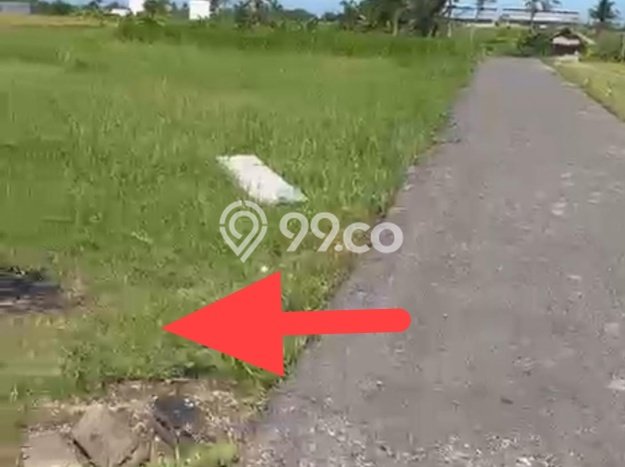 Tanah Investasi Dijual di Tabanan Punya Luas 250m2 Tanah Investasi Dijual di Tabanan Punya Luas 250m2