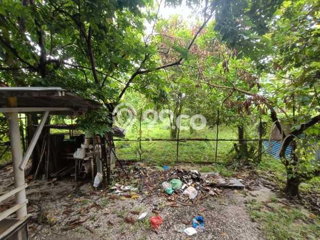 Rumah Siap Huni 3 KT 3 KM di Tenayan Raya, Pekanbaru Rumah Siap Huni 3 KT 3 KM di Tenayan Raya, Pekanbaru